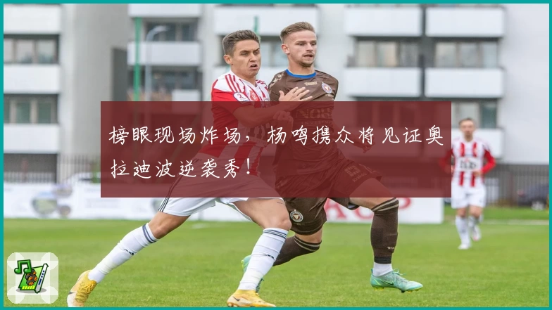 榜眼现场炸场，杨鸣携众将见证奥拉迪波逆袭秀！